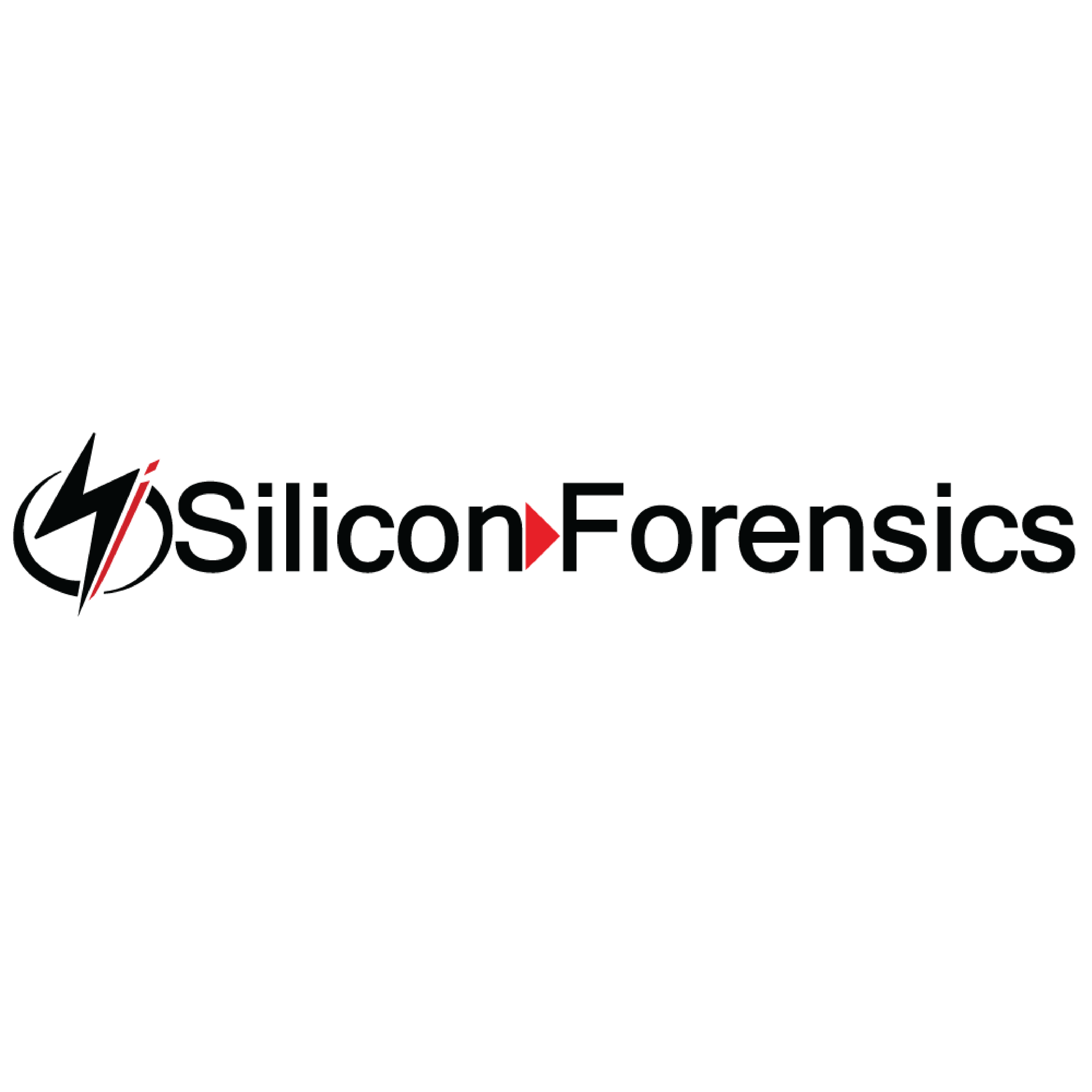 Silicon Forensics Logo